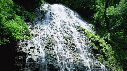 高标准独特独特
